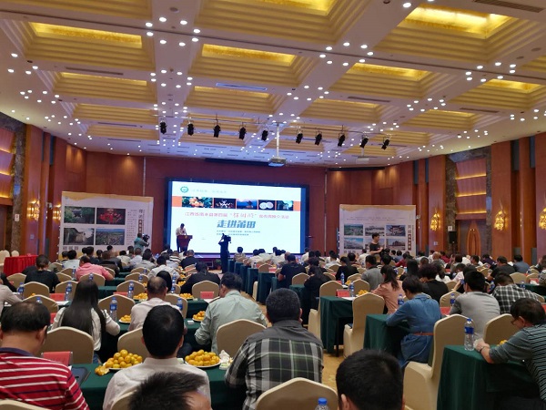 ��Ӯ���ʡ�(�й���)���޹�˾����